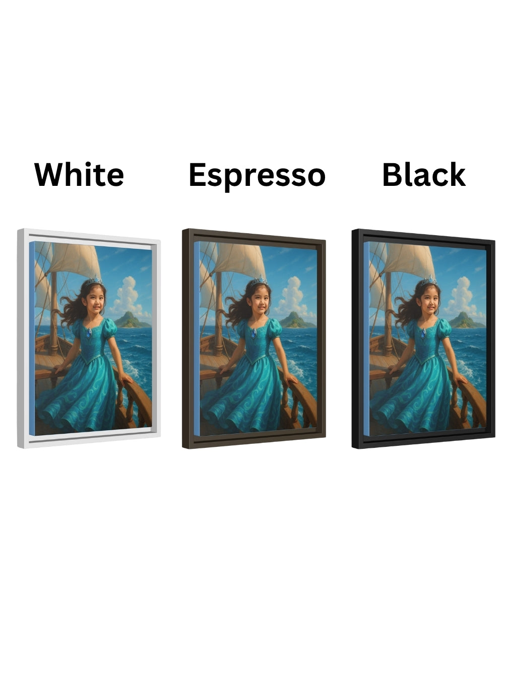 Framed Matte Canvas